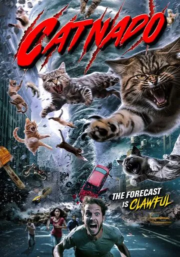 Кошачий торнадо / Catnado (2022) фильм смотреть онлайн Кошачий торнадо / Catnado (2022) фильм смотреть онлайн в хорошем качестве
