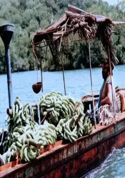 Банановый Джо (1982) смотреть онлайн Банановый Джо (1982) фильм смотреть онлайн