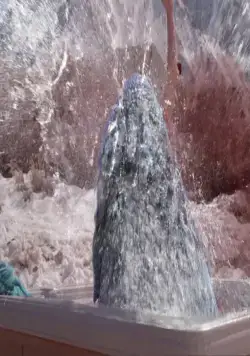 Горные акулы (2014) смотреть онлайн Горные акулы (2014) фильм смотреть онлайн