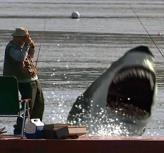 Инстинкт хищника (2004) в хорошем качестве смотреть онлайн Инстинкт хищника (2004) фильм в хорошем качестве смотреть онлайн