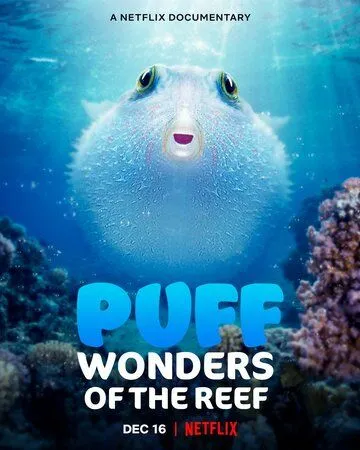 Чудеса кораллового рифа / Puff: Wonders of the Reef (2021) фильм смотреть онлайн Чудеса кораллового рифа / Puff: Wonders of the Reef (2021) фильм смотреть онлайн в хорошем качестве