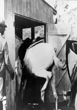 Каникулы господина Юло (1953) в хорошем качестве смотреть онлайн Каникулы господина Юло (1953) фильм в хорошем качестве смотреть онлайн