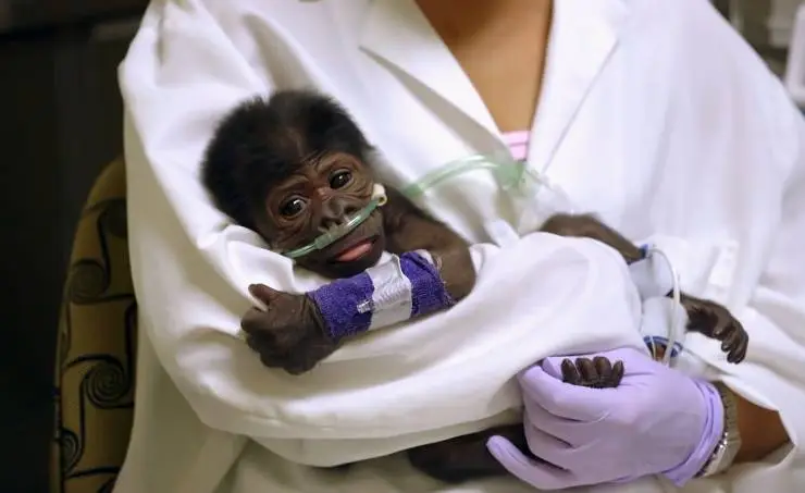 Спасти планету (2020) смотреть онлайн Спасти планету (2020) фильм смотреть онлайн