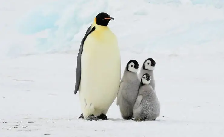 Спасти планету (2020) смотреть онлайн бесплатно Спасти планету (2020) фильм смотреть онлайн бесплатно