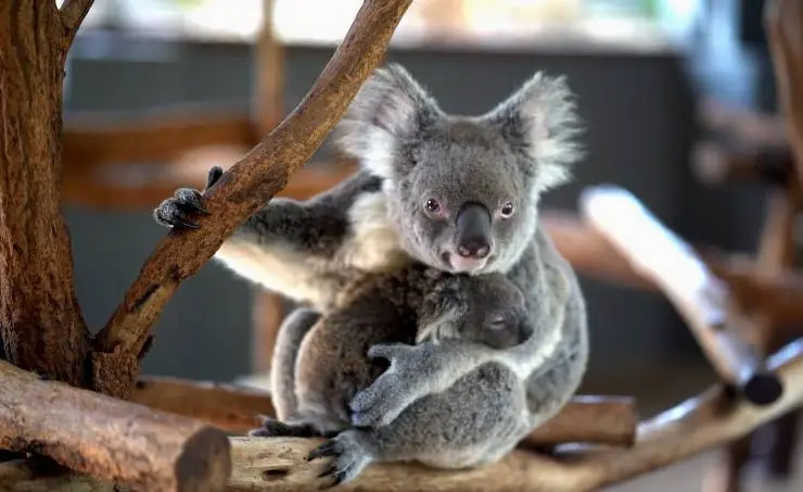 Спасти планету (2020) в хорошем качестве смотреть онлайн Спасти планету (2020) фильм в хорошем качестве смотреть онлайн