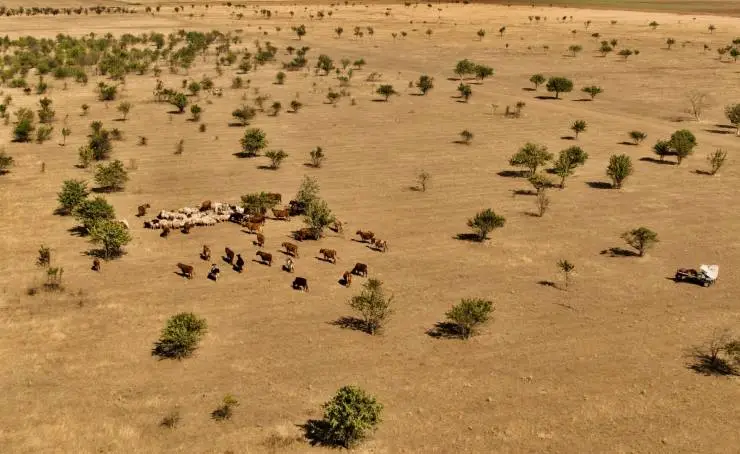 Крым небесный (2020) смотреть онлайн бесплатно Крым небесный (2020) фильм смотреть онлайн бесплатно