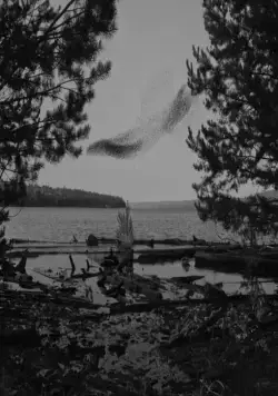 Волнами (2022) смотреть онлайн Волнами (2022) фильм смотреть онлайн