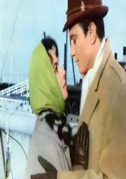 Баттерфилд 8 (1960) смотреть онлайн бесплатно Баттерфилд 8 (1960) фильм смотреть онлайн бесплатно