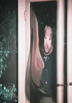 Город, который боялся заката (1976) смотреть онлайн бесплатно Город, который боялся заката (1976) фильм смотреть онлайн бесплатно