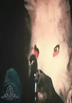 Город, который боялся заката (1976) в хорошем качестве смотреть онлайн Город, который боялся заката (1976) фильм в хорошем качестве смотреть онлайн