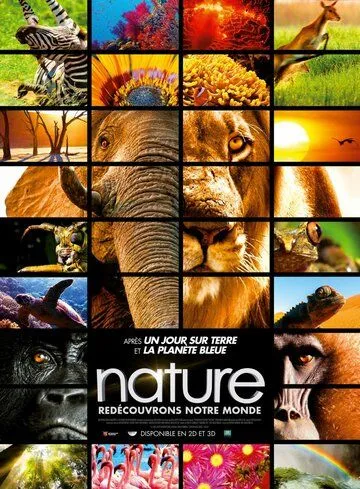 Заколдованное королевство 3D / Enchanted Kingdom 3D (2014) фильм смотреть онлайн в хорошем качестве