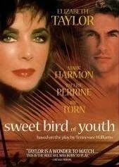 Сладкоголосая птица юности / Sweet Bird of Youth (1989) фильм смотреть онлайн в хорошем качестве