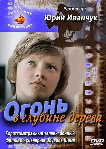 Огонь в глубине дерева (1978) фильм смотреть онлайн в хорошем качестве