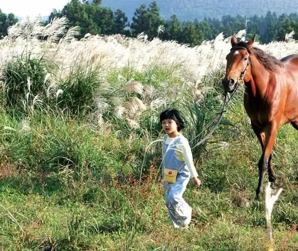 Кусок сахара (2006) смотреть онлайн Кусок сахара (2006) фильм смотреть онлайн