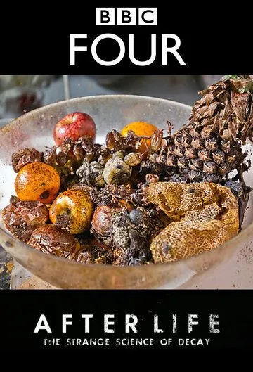 После смерти: Загадочная наука разложения / After Life: The Strange Science of Decay (2011) фильм смотреть онлайн в хорошем качестве