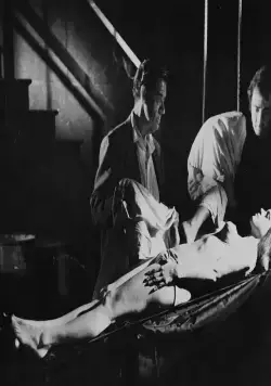 Перемалыватели трупов (1971) смотреть онлайн Перемалыватели трупов (1971) фильм смотреть онлайн