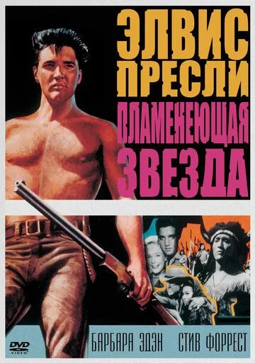Пламенеющая звезда / Flaming Star (1960) фильм смотреть онлайн в хорошем качестве
