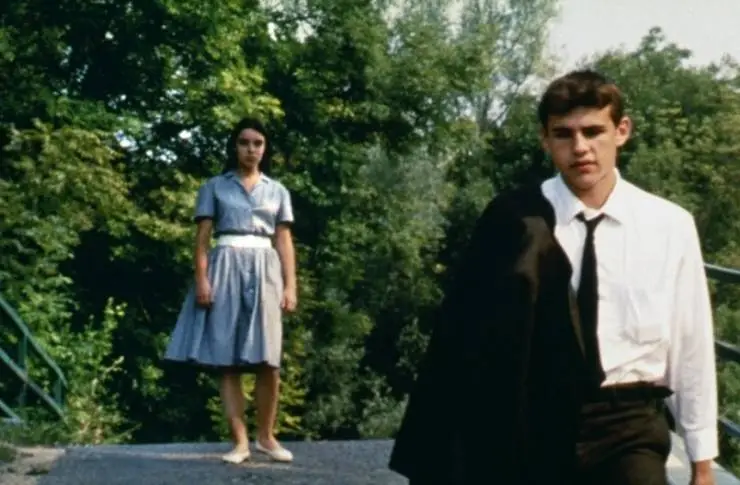 Дикий тростник (1994) в хорошем качестве смотреть онлайн Дикий тростник (1994) фильм в хорошем качестве смотреть онлайн