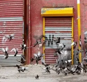 На запчасти (2007) смотреть онлайн бесплатно На запчасти (2007) фильм смотреть онлайн бесплатно