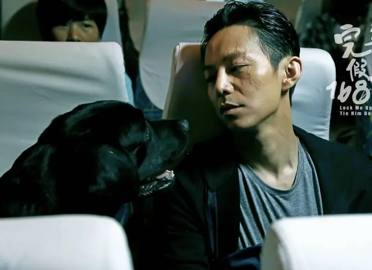 Запри меня, свяжи его (2014) смотреть онлайн бесплатно Запри меня, свяжи его (2014) фильм смотреть онлайн бесплатно