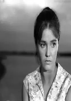 Дверь без замка (1973) смотреть онлайн бесплатно Дверь без замка (1973) фильм смотреть онлайн бесплатно