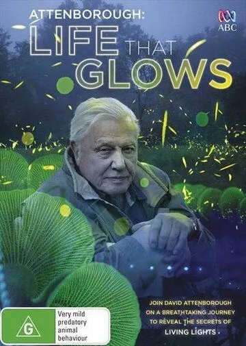 Живой свет с Дэвидом Аттенборо / Attenborough's Life That Glows (2016) фильм смотреть онлайн Живой свет с Дэвидом Аттенборо / Attenborough's Life That Glows (2016) фильм смотреть онлайн в хорошем качестве