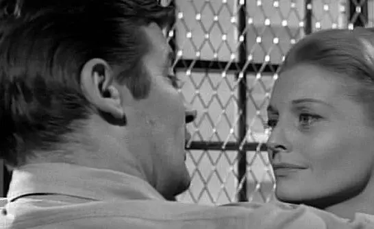 Шоковый коридор (1963) в хорошем качестве смотреть онлайн Шоковый коридор (1963) фильм в хорошем качестве смотреть онлайн