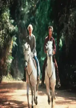 Зазубренное лезвие (1985) в хорошем качестве смотреть онлайн Зазубренное лезвие (1985) фильм в хорошем качестве смотреть онлайн