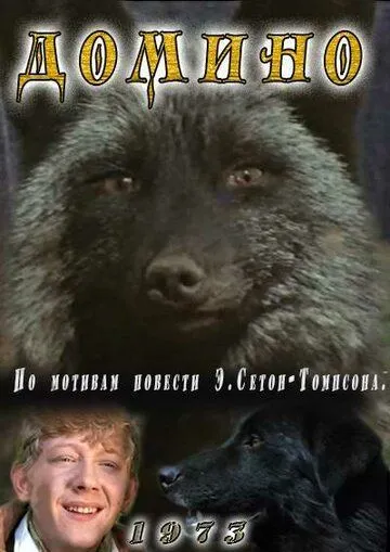 Домино (1973) фильм смотреть онлайн в хорошем качестве