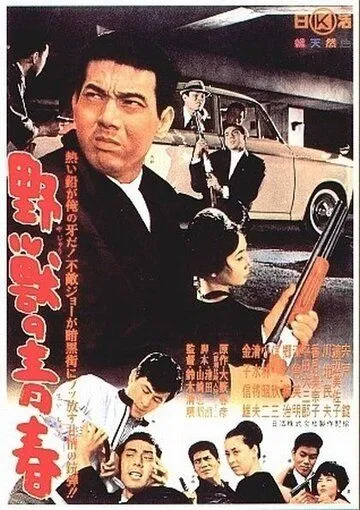 Молодость зверя / Yajû no seishun (1963) фильм смотреть онлайн в хорошем качестве