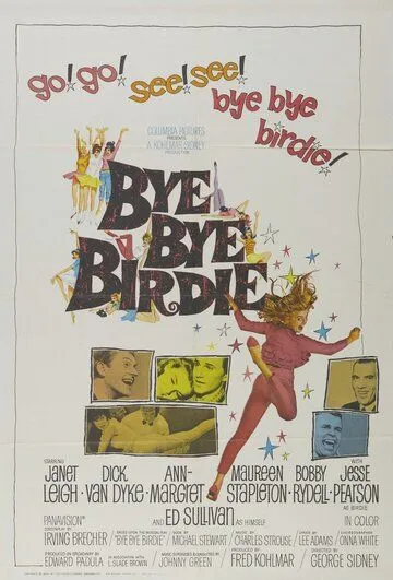 Пока, пташка / Bye Bye Birdie (1963) фильм смотреть онлайн в хорошем качестве