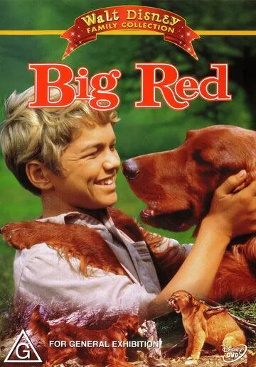 Большой Ред / Big Red (1962) фильм смотреть онлайн в хорошем качестве