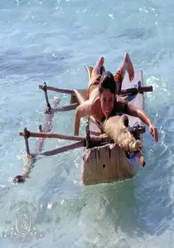 Легенда о Джонни Линго (2003) в хорошем качестве смотреть онлайн Легенда о Джонни Линго (2003) фильм в хорошем качестве смотреть онлайн