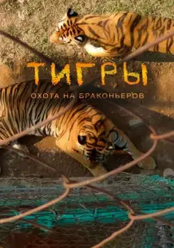 Тигры: Охота на браконьеров / Tigers: Hunting the Traffickers (2020) фильм смотреть онлайн в хорошем качестве