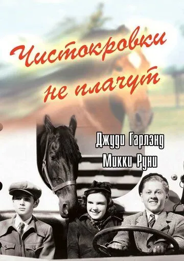 Чистокровки не плачут / Thoroughbreds Don't Cry (1937) фильм смотреть онлайне бесплатно Смотреть Чистокровки не плачут / Thoroughbreds Don't Cry(1937) фильм в онлайне бесплатно