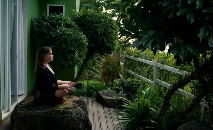 Осторожно, коучи (2024) в хорошем качестве смотреть онлайн Осторожно, коучи (2024) фильм в хорошем качестве смотреть онлайн