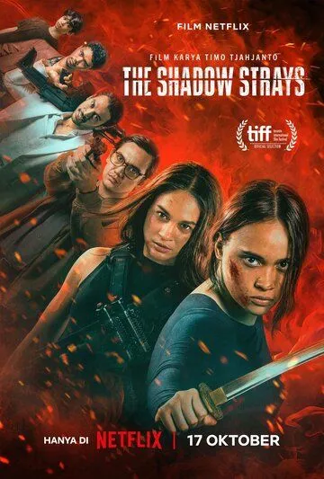 Блуждающая тень / The Shadow Strays (2024) фильм смотреть онлайн Блуждающая тень / The Shadow Strays (2024) фильм смотреть онлайн в хорошем качестве