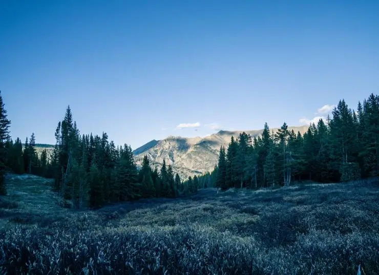 Хищные земли (2024) смотреть онлайн Хищные земли (2024) фильм смотреть онлайн