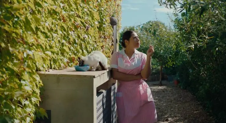 Опасные тайны горничной (2023) смотреть онлайн Опасные тайны горничной (2023) фильм смотреть онлайн