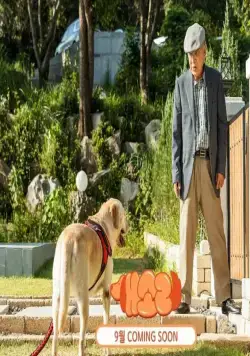 Пёсель знает всё (2024) смотреть онлайн Пёсель знает всё (2024) сериал смотреть онлайн