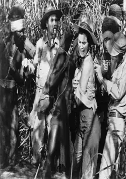 Надувательство (1970) в хорошем качестве смотреть онлайн Надувательство (1970) фильм в хорошем качестве смотреть онлайн