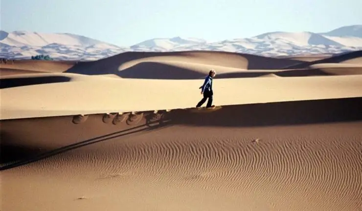 Мечта Липпеля (2009) смотреть онлайн Мечта Липпеля (2009) фильм смотреть онлайн