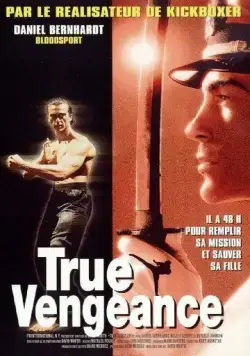 Один против якудза / True Vengeance (1997) фильм смотреть онлайн в хорошем качестве