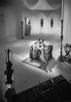 Ночные красавицы (1952) смотреть онлайн Ночные красавицы (1952) фильм смотреть онлайн