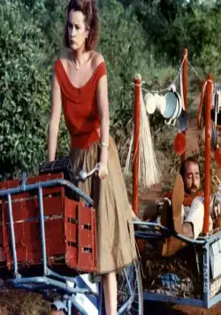 Леопард (1984) в хорошем качестве смотреть онлайн Леопард (1984) фильм в хорошем качестве смотреть онлайн