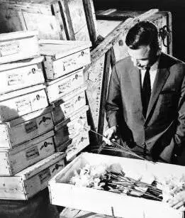 Тайна золотистых нарциссов (1961) в хорошем качестве смотреть онлайн Тайна золотистых нарциссов (1961) фильм в хорошем качестве смотреть онлайн