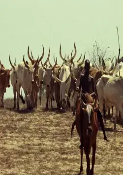 Туки-Буки (1973) в хорошем качестве смотреть онлайн Туки-Буки (1973) фильм в хорошем качестве смотреть онлайн