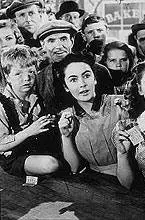 Национальный бархат (1944) в хорошем качестве смотреть онлайн Национальный бархат (1944) фильм в хорошем качестве смотреть онлайн