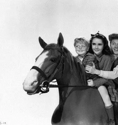 Национальный бархат (1944) смотреть онлайн Национальный бархат (1944) фильм смотреть онлайн