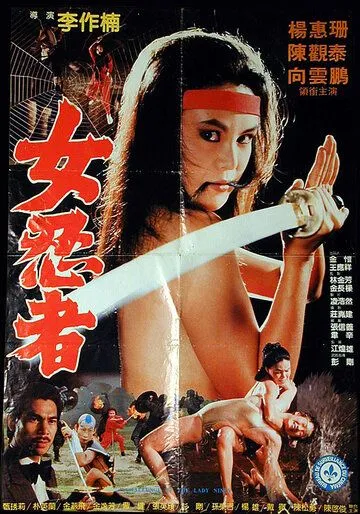 Задание леди-ниндзя / Lang nu shen long jian (1983) фильм смотреть онлайн в хорошем качестве